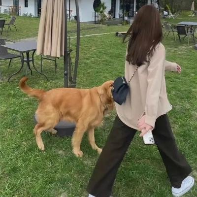 人性怪鱼